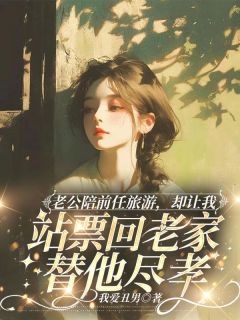 抖音小说老公陪前任旅游，却让我站票回老家替他尽孝沈至豪白清清全文txt