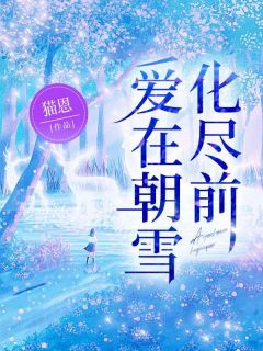 【热文】爱在朝雪化尽前主角陆昭雪沈宗远小说全集免费阅读
