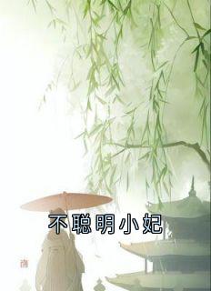 不聪明小妃by容妃喜公公在线阅读-随缘阅读网