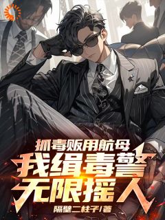 独家抓毒贩用航母？我缉毒警无限摇人全本大结局小说阅读