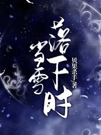 宁宁段秉谦顾知微小说<当雪落下时>全文在线阅读-随缘阅读网