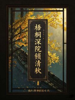 梧桐深院锁清秋小说的书名是什么