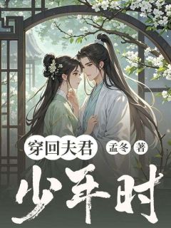 快手苏暖暖陆临渊主角的小说全本章节大结局
