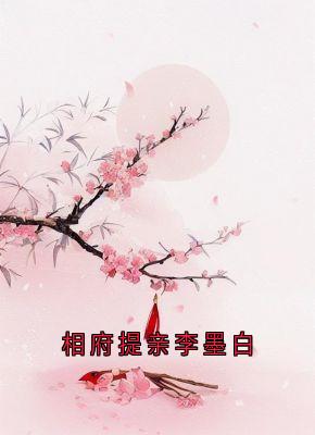 相府提亲李墨白无弹窗在线阅读-随缘阅读网