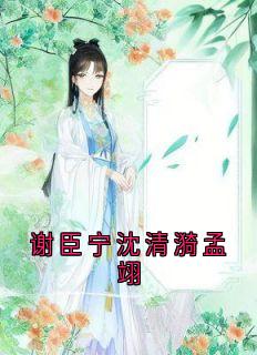 谢臣宁沈清漪孟翊小说(完结版)-沈清漪谢臣宁在线阅读-随缘阅读网