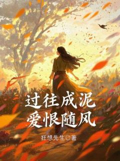 无广告小说过往成泥，爱恨随风-苏婉林城在线阅读-随缘阅读网