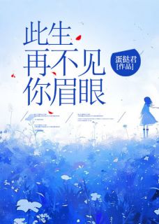 此生再不见你眉眼沈冉顾淮安全章节完结版在线阅读