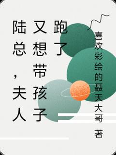 陆总，夫人又想带孩子跑了林悦陆逸辰小说完整在线阅读
