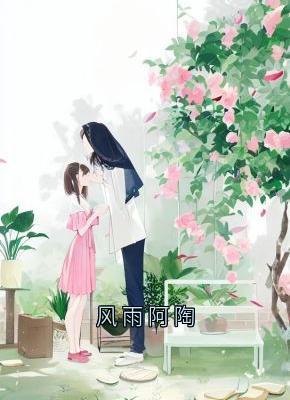 盛彦最新小说风雨阿陶盛彦宋陶在线试读-随缘阅读网