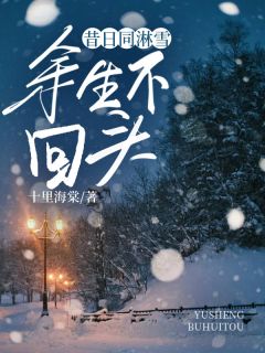 昔日同淋雪,余生不回头(新书)大结局在线阅读-随缘阅读网