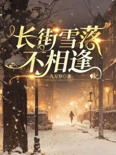 九万岁写的小说长街雪落不相逢桑晚池俞全文阅读
