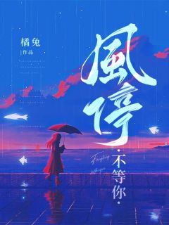 爆款小说风停不等你-主角宋满傅其深在线阅读