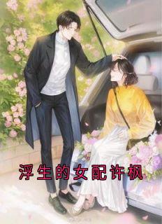 小说浮生的女配许枫主角为许枫闻懿宋燃免费阅读
