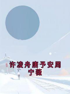 许凌舟唐予安周宁薇(新书)大结局在线阅读