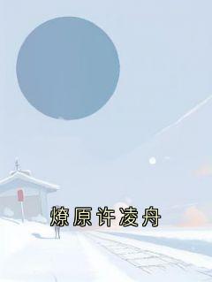 （好书推荐）燎原许凌舟小说最新章节小说全文阅读