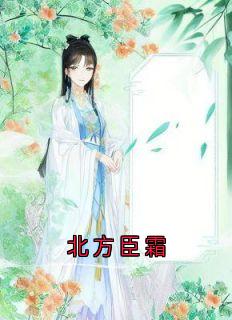 北方臣霜完整版免费阅读，沈清漪谢臣宁小说大结局在哪看-随缘阅读网