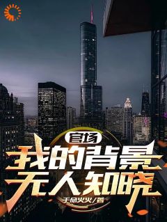 都市：我在官场上逆袭人生免费章节都市：我在官场上逆袭人生点我搜索全章节小说