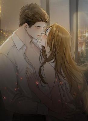 前妻有喜，傅总请排队恭喜精彩小说-前妻有喜，傅总请排队恭喜目录阅读-随缘阅读网