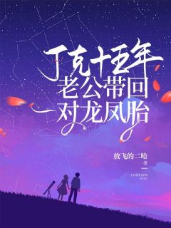 丁克十五年，老公带回一对龙凤胎徐晴顾景舟薇岚小说全文阅读