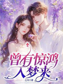 曾有惊鸿入梦来无广告阅读 蒋少川顾念语免费在线阅读