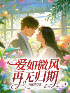 爱如微风，再无归期免费阅读全文，主角舒艺贺骏辰小说