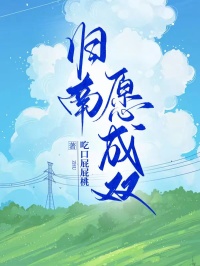 归南愿成双小说方泽凯贝梓舒免费阅读