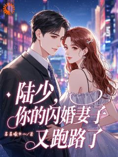 全章节小说陆少，你的闪婚妻子又跑路了晨晨曦月儿最新阅读