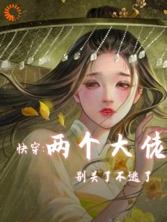 快穿两个大佬别关了不逃了未删减阅读-随缘阅读网