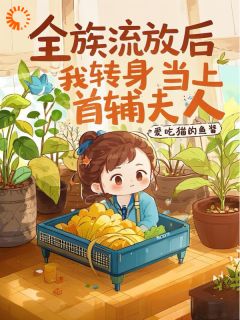 抖音小说全族流放后，我转身当上首辅夫人主角栾香橼栾半夏全文小说免费阅读