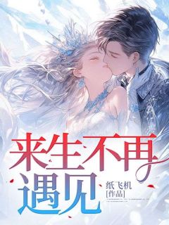 来生不再遇见段妍段国安-小说未删减阅读