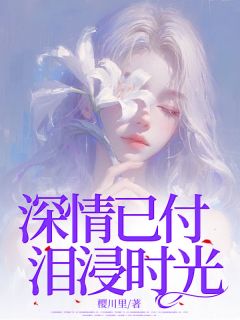 深情已付，泪浸时光【全章节】沈冰林泽完结版免费阅读
