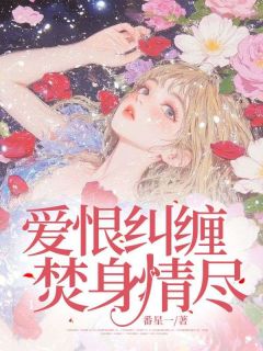小说推荐爱恨纠缠，焚身情尽完结版全章节阅读