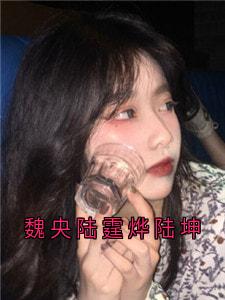 抖音魏央陆霆烨陆坤txt小说阅读