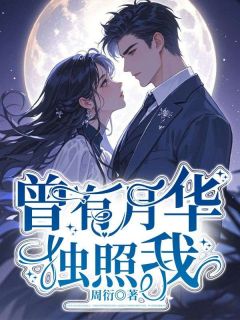 【曾有月华独照我】小说在线阅读-曾有月华独照我免费版目录阅读全文