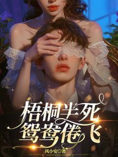 百度贴吧小说梧桐半死，鸳鸯倦飞，主角沈轻虞谢允全文免费