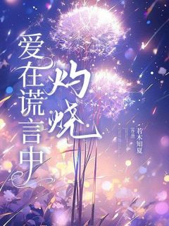 抖音爱在谎言中灼烧小说章节阅读