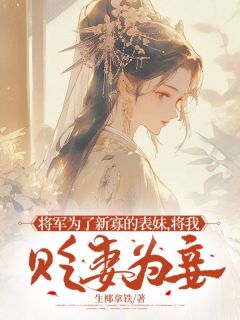 精品小说将军为了新寡的表妹，将我贬妻为妾全文目录畅读-随缘阅读网