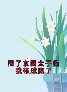 甩了京圈太子后我带球跑了by佚名小说完结版在线阅读