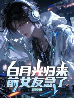 老书虫力荐白月光归来，前女友急了免费无弹窗阅读