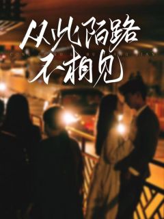 全本资源在线阅读从此陌路不相见苏安河陆欣然