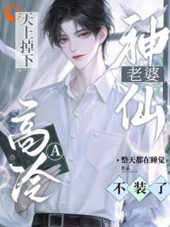 京墨陆荀章节免费阅读