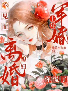 沈流芳边叙主角的小说完结版军婚十年不见面，媳妇离婚你慌了全集