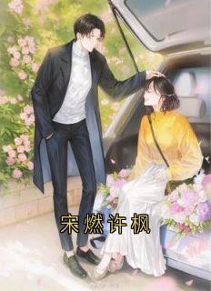 热文宋燃许枫小说-主角许枫闻懿宋燃全文在线阅读