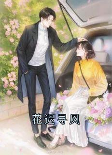 【花迟寻风】主角(许枫闻懿宋燃)在线阅读-随缘阅读网
