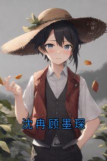 沈冉顾墨琛小说(完整版)-沈冉顾墨琛沈心章节阅读-随缘阅读网