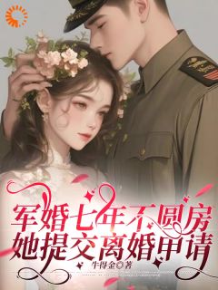 老书虫力荐军婚七年不圆房，她提交离婚申请免费无弹窗阅读