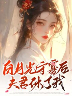 爆款小说由作者绯狐所创作的白月光守寡后，夫君休了我在线阅读