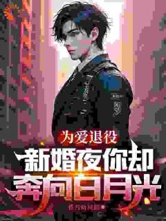 为爱退役，新婚夜你却奔向白月光苏瑾陆战为爱退役，新婚夜你却奔向白月光全文免费阅读【完整章节】