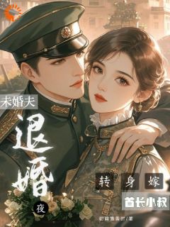 书荒必备宋依依岑樾小说
