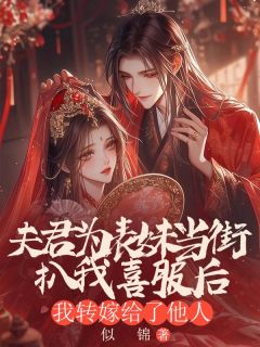 热门推荐夫君为表妹当街扒我喜服后，我转嫁给了他人by似锦小说正版在线